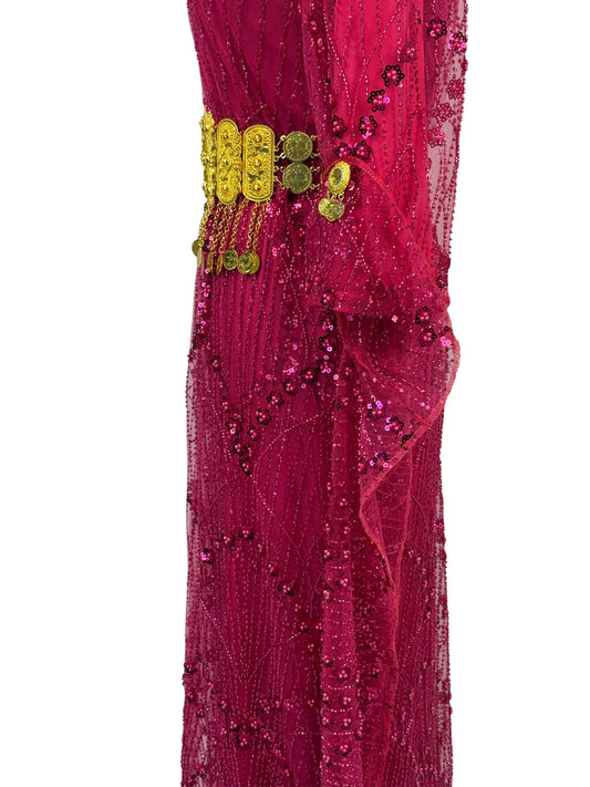 Detail van Jilenpiroz Rozin: glinsterende afwerking en gouden munt-riem